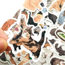 Load image into Gallery viewer, &quot;Cat Life&quot; - Sticker Bomb Pack (54pc)
